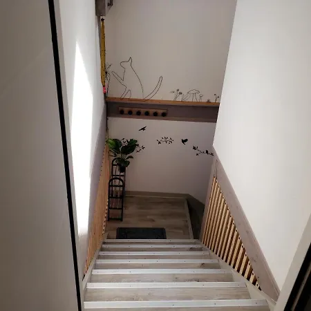 Le Charmillon, Appartement Cosi Avec Double Garage Mancey Exterior photo